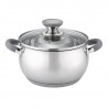 Oala Oliver Voltz OV51210N26, 26 cm, 7.7 L, Inductie, Manere silicon, Inox/Gri